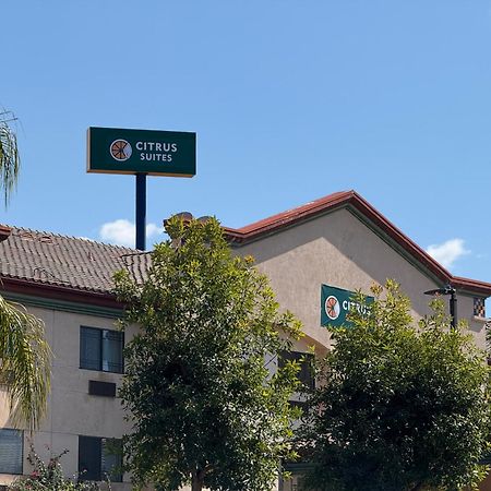Citrus Suites Redlands Loma Linda Hotel Esterno foto